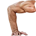 pushup1