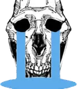 JJKDamnBroSkull