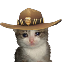 echat_SadCowboy Discord emoji