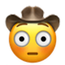 echat_yellowFlushedCowboy Discord emoji