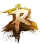 :rohan05: