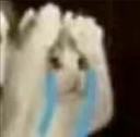 cen_catomgcry Discord emoji