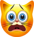 sinjincat