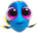 dory