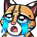 Cry