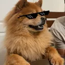DDmochiswag