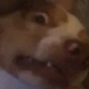 DDKwth