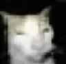 MS_Gato4K Discord emoji
