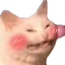 amysumblush amysumblush