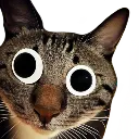 googlecat
