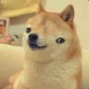 DumbDoge Discord Emoji