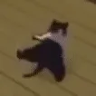 catbreakdancing