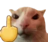 cat_fvck_u