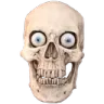 skull