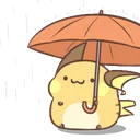 raibrella raibrella