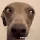 sideeye2