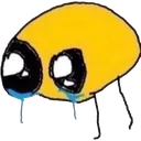 c_e_crybug