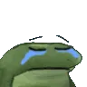 frogsad