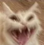aaaAAA