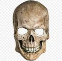 skull3