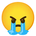 angy_cry