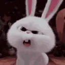 7bitchwhat