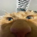 moyaifrank moyaifrank