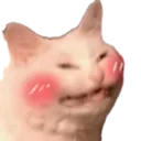 Hehe