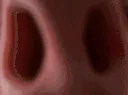 SNIFFA