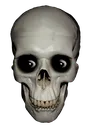 Skull1