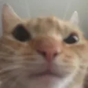 CS_WHATTHEHELLLLLLL Discord Emoji