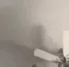 catPunch