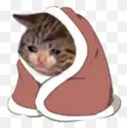 sadcat Discord Emoji