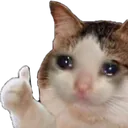 thumbsup