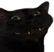 derpy_cat_lex