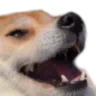 Doguinho