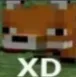 XD
