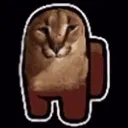 flopmongus