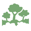 ForestOfValorDDV
