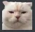 Screenshot20220801145748 Screenshot20220801145748