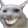 smileCat