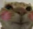 cat_blushing