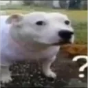 huh huh