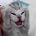 emoji_2