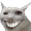 cat_laugh