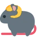 rat_sheep