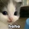 hehe hehe
