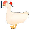 duckspin