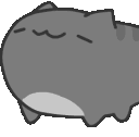 2492catbuggray
