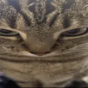 StarePng